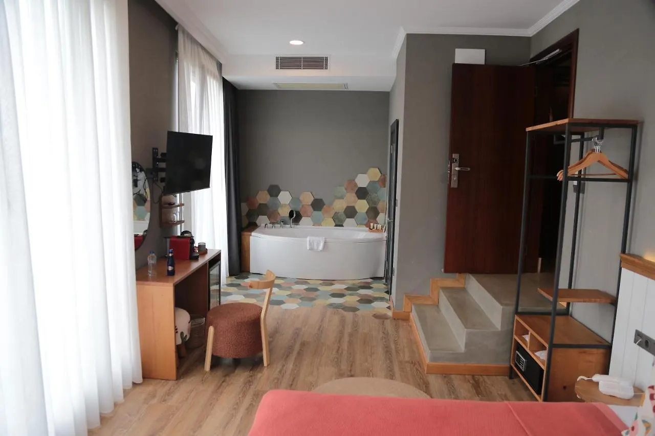 Istanbul Old City Colorful Houses Balat Petrion Hotel تركيا